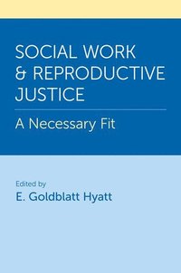 bokomslag Social Work and Reproductive Justice