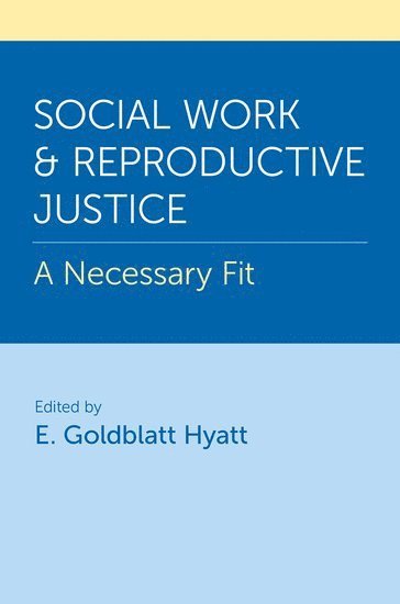 bokomslag Social Work and Reproductive Justice