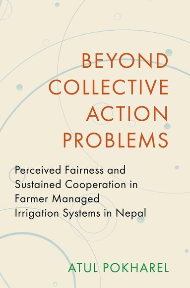 bokomslag Beyond Collective Action Problems