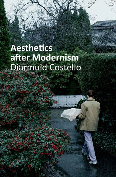 Diarmuid Costello - Aesthetics After Modernism, Inbunden