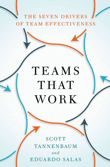 bokomslag Teams That Work