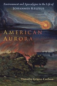 bokomslag American Aurora