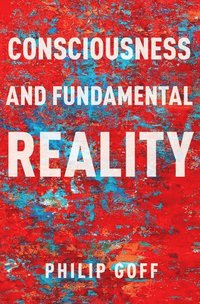 bokomslag Consciousness and Fundamental Reality