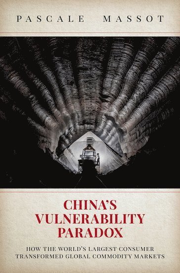 China's Vulnerability Paradox 1