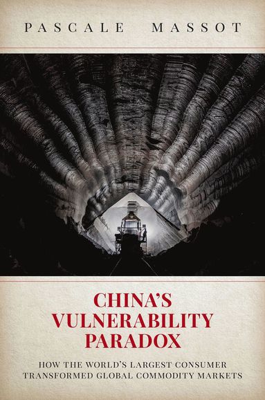 bokomslag China's Vulnerability Paradox