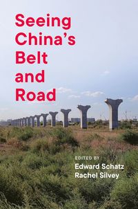 bokomslag Seeing China's Belt and Road