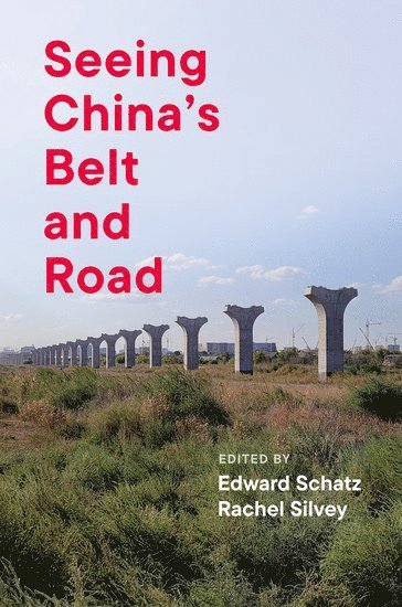 bokomslag Seeing China's Belt and Road