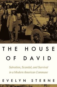 bokomslag The House of David