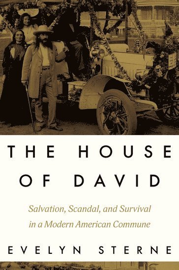 bokomslag The House of David