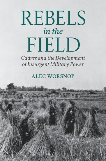 bokomslag Rebels in the Field