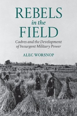 bokomslag Rebels in the Field