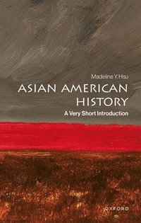 bokomslag Asian American History