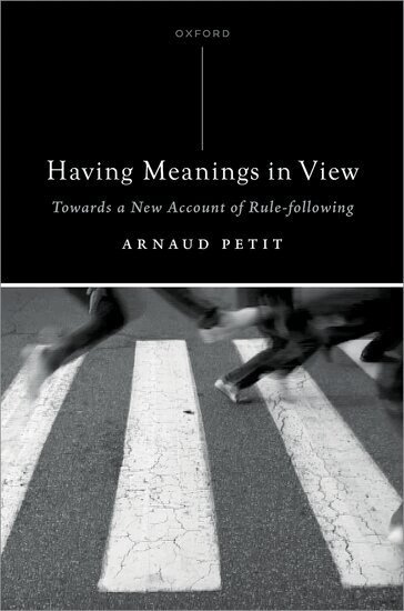 Arnaud Petit - Having Meanings in View, Inbunden