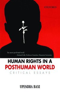 bokomslag Human Rights in a Post Human World: Critical Essays