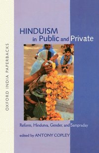 bokomslag Hinduism in Public and Private