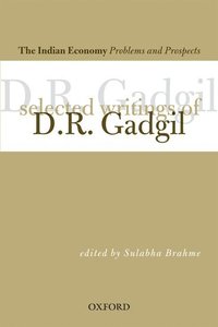 bokomslag The India Economy: Problems and Prospects