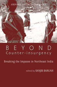 bokomslag Beyond Counter-Insurgency