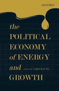 bokomslag The Political Economy of Energy and Growth
