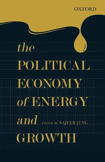 bokomslag The Political Economy of Energy and Growth