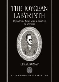 bokomslag The Joycean Labyrinth