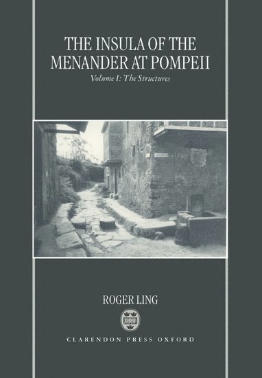bokomslag The Insula of the Menander at Pompeii: Volume 1: The Structures