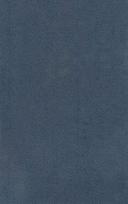 Homer, D. B. Monro, T. W. Allen - Homer Vol. II. Iliad (Books XIII-XXIV), Inbunden