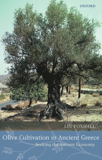 bokomslag Olive Cultivation in Ancient Greece