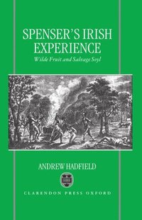 bokomslag Edmund Spenser's Irish Experience