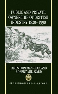 bokomslag Public and Private Ownership of British Industry 1820-1990