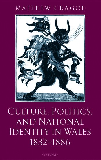 bokomslag Culture, Politics, and National Identity in Wales 1832-1886