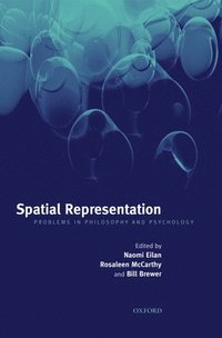 bokomslag Spatial Representation