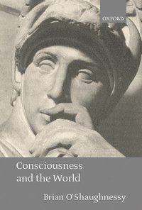 bokomslag Consciousness and the World