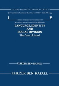 bokomslag Language, Identity, and Social Division