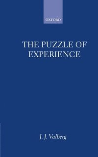 bokomslag The Puzzle of Experience