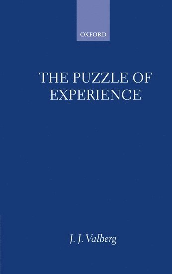 bokomslag The Puzzle of Experience