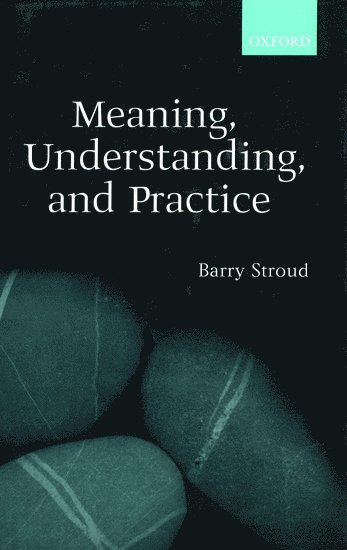 Meaning, Understanding, and Practice 1