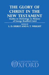 bokomslag The Glory of Christ in the New Testament