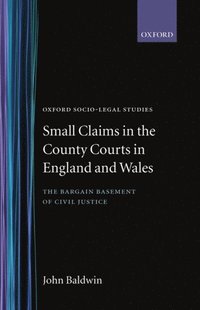 bokomslag Small Claims in the County Courts in England and Wales