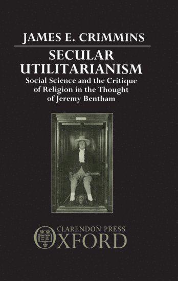 bokomslag Secular Utilitarianism