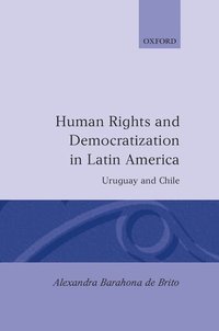 bokomslag Human Rights and Democratization in Latin America