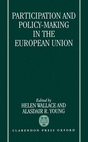 bokomslag Participation and Policy Making in the European Union