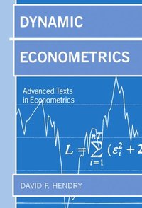 bokomslag Dynamic Econometrics