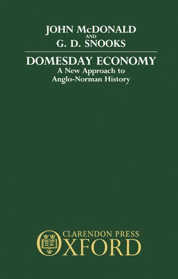bokomslag Domesday Economy
