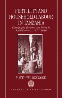 bokomslag Fertility and Household Labour in Tanzania