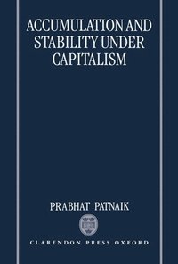 bokomslag Accumulation and Stability under Capitalism