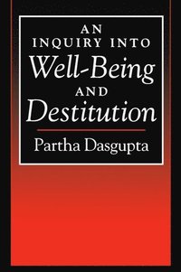 bokomslag An Inquiry into Well-Being and Destitution