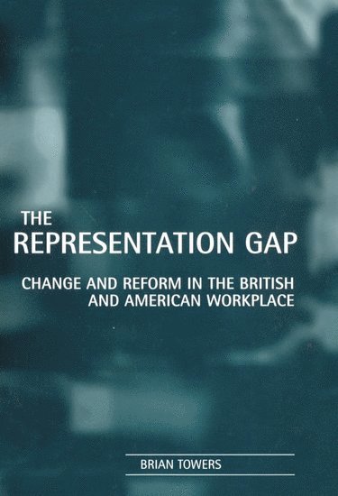 The Representation Gap 1