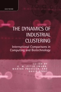 bokomslag The Dynamics of Industrial Clustering