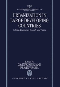 bokomslag Urbanization in Large Developing Countries