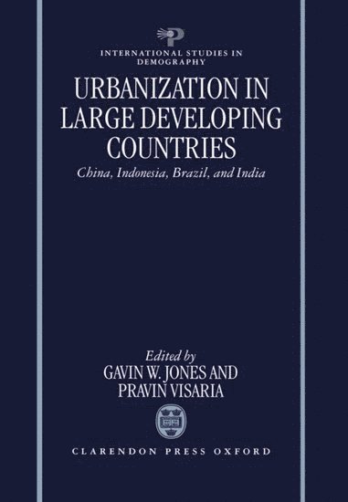 bokomslag Urbanization in Large Developing Countries